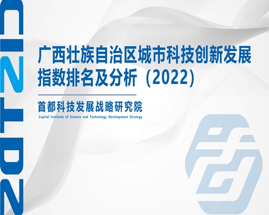 九幺操逼网站【成果发布】广西壮族自治区城市科技创新发展指数排名及分析（2022）